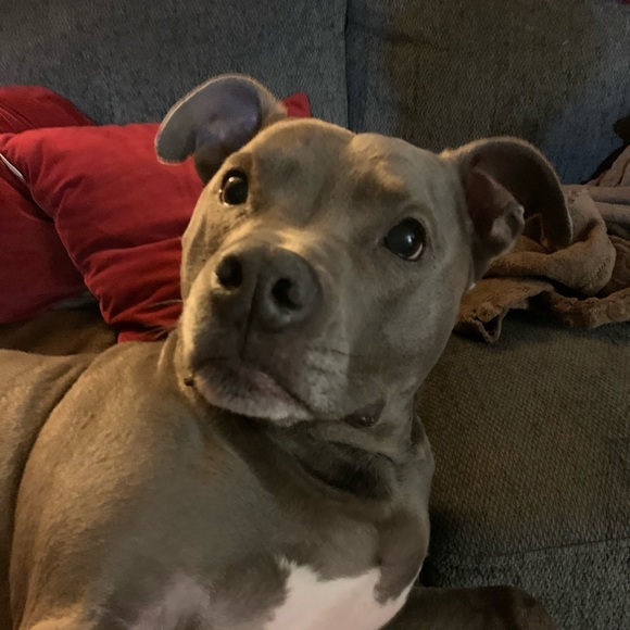 Meet your Posher, Mike - Picture 1 of 1